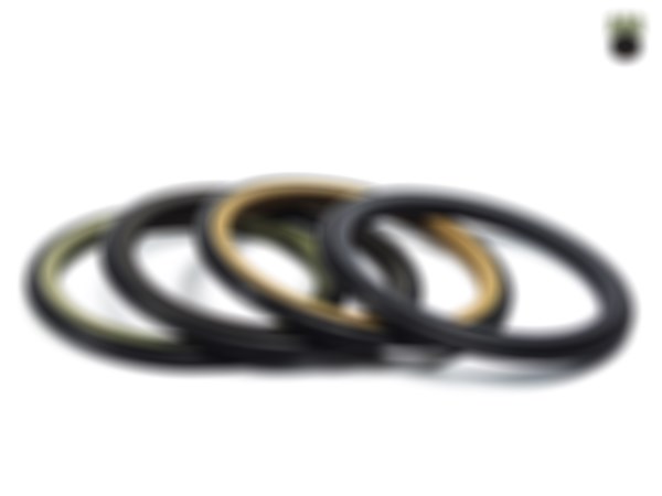 双层密封圈产品展示